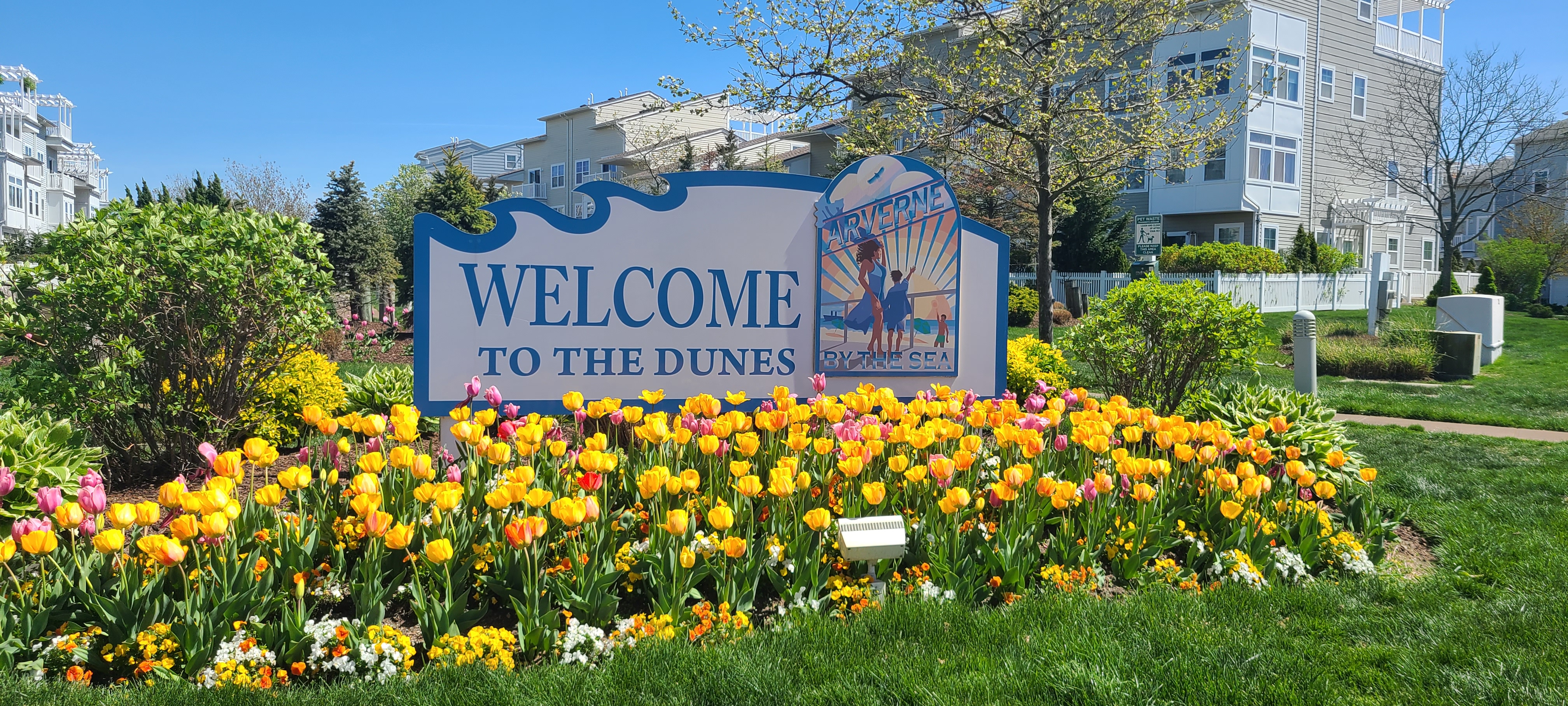 A "Welcome to the Dunes" sign amidst a field of mostly yellow tulips.